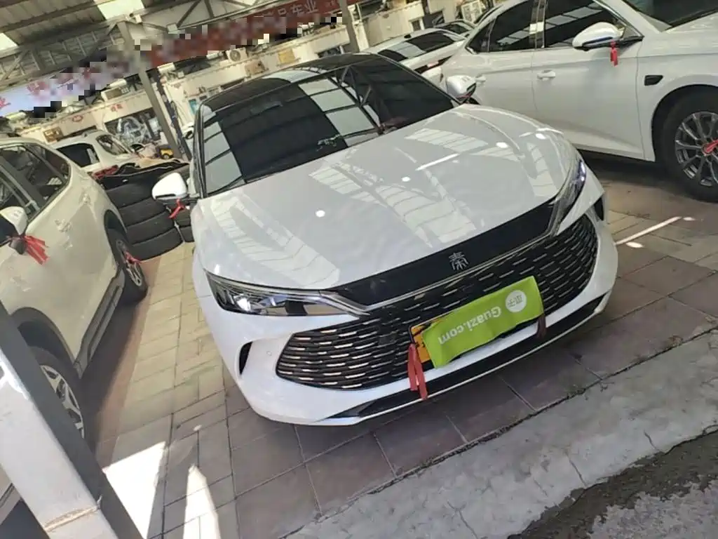 Qin L DM-i Smart Drive 80 KM Leading