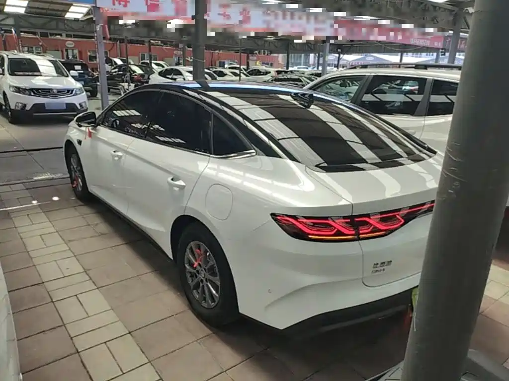 Qin L DM-i Smart Drive 80 KM Leading