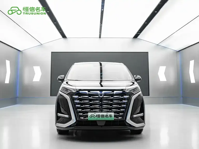 Denza D9 DM-i 970 4 WD Flagship