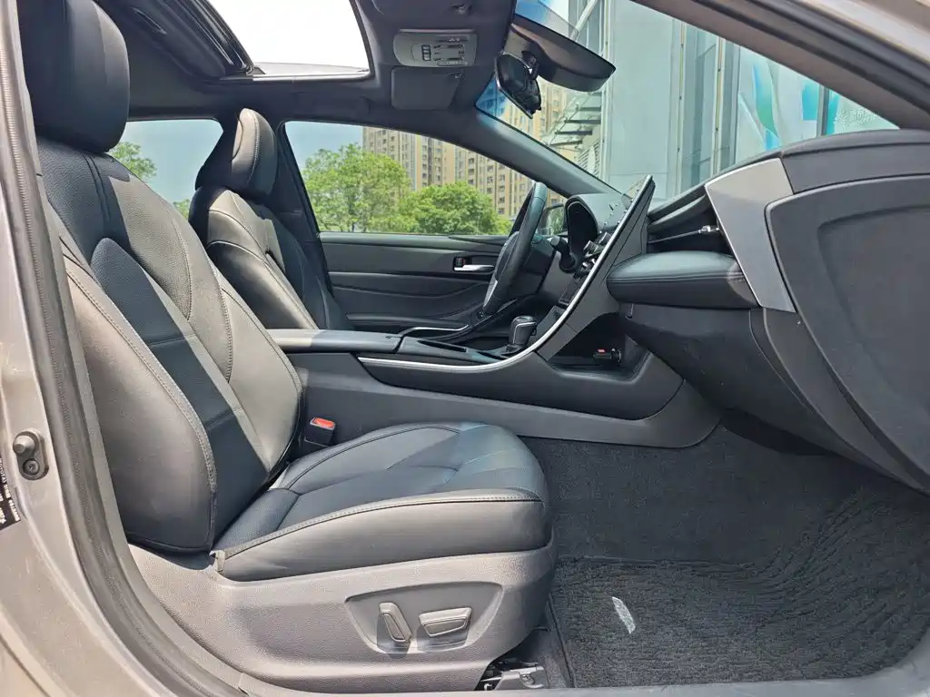 Avalon 2.0 L XLE Premium CN-VI