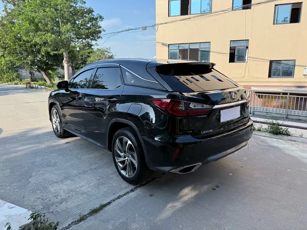 Lexus RX 300 4 WD Elegant CN-V