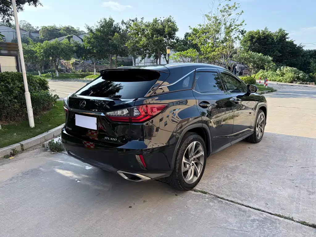 Lexus RX 300 4 WD Elegant CN-V