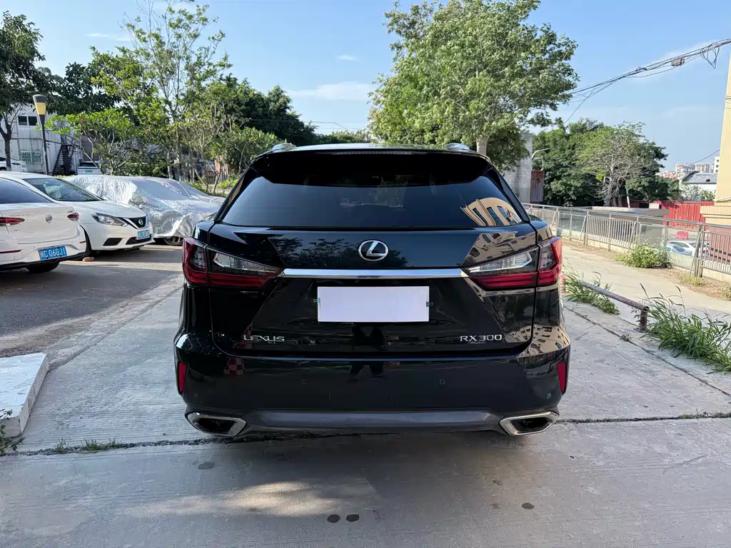 Lexus RX 300 4 WD Elegant CN-V