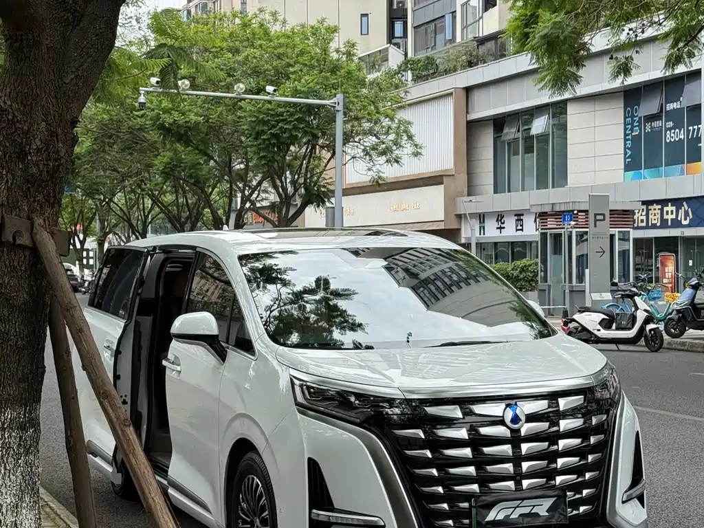 Denza D9 DM-i 970 4 WD Flagship