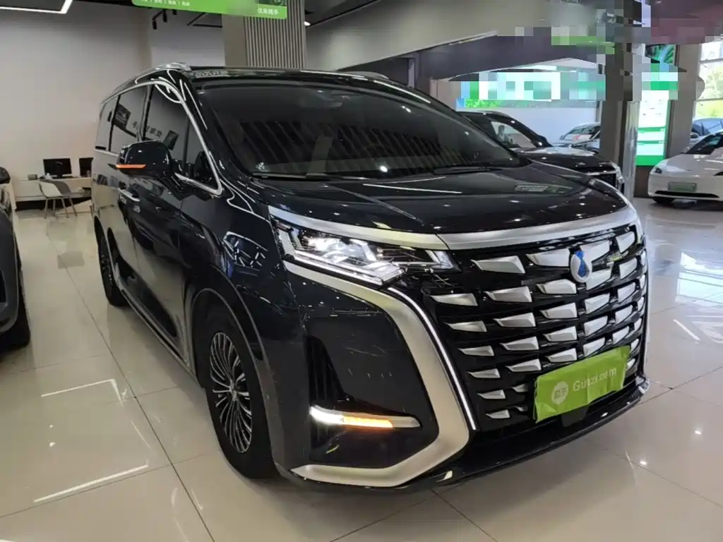 Denza D9 DM-i 970 4 WD Honored