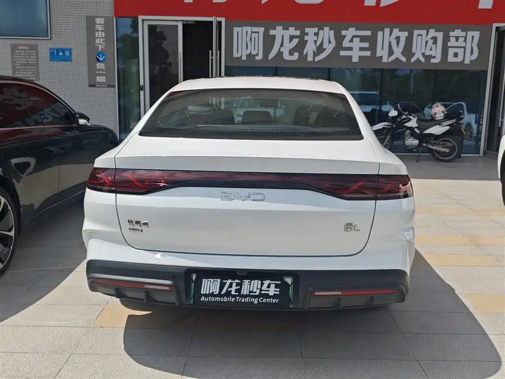 Qin L DM-i 120 KM Transcend