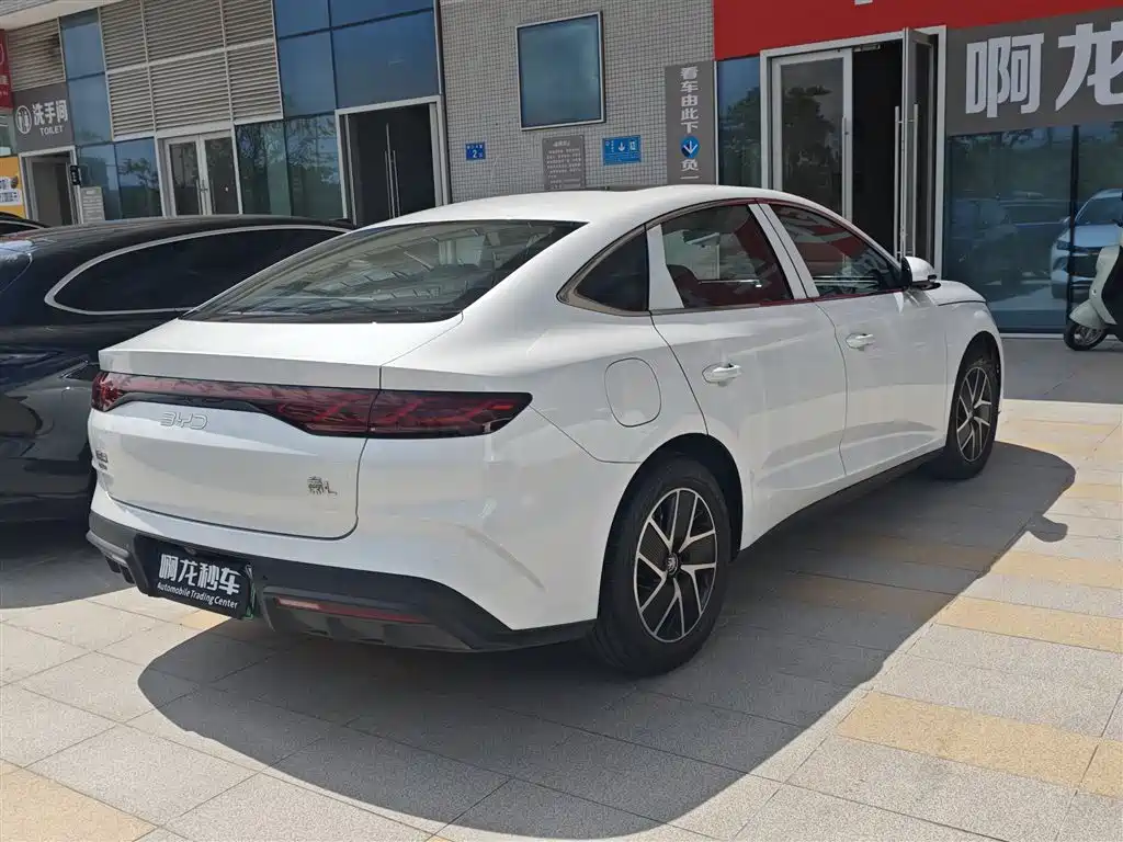 Qin L DM-i 120 KM Transcend