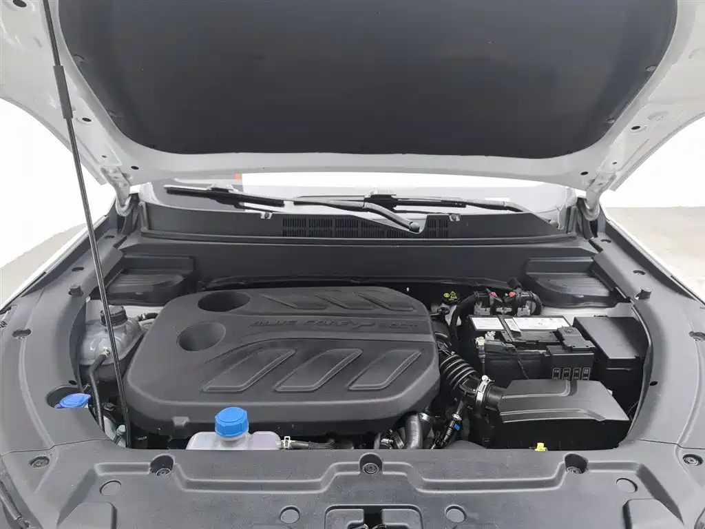 Changan Oshan X5 Sport 1.5 T DCT Whirlwind