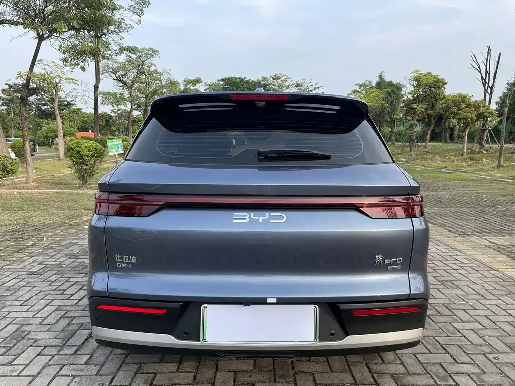 Song Pro NEV 2 nd Gen Smart Drive DM-i 115 KM Transcend