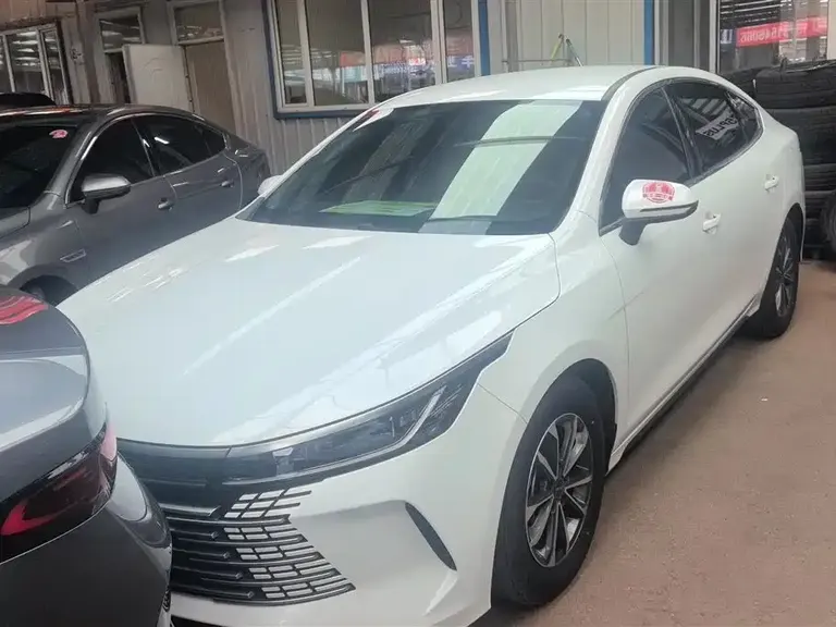 BYD Destroyer 05 Glory DM-i 55 KM Luxury