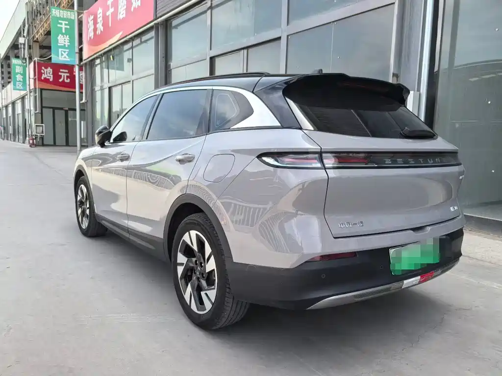 Yueyi 07 210 km Pleasure