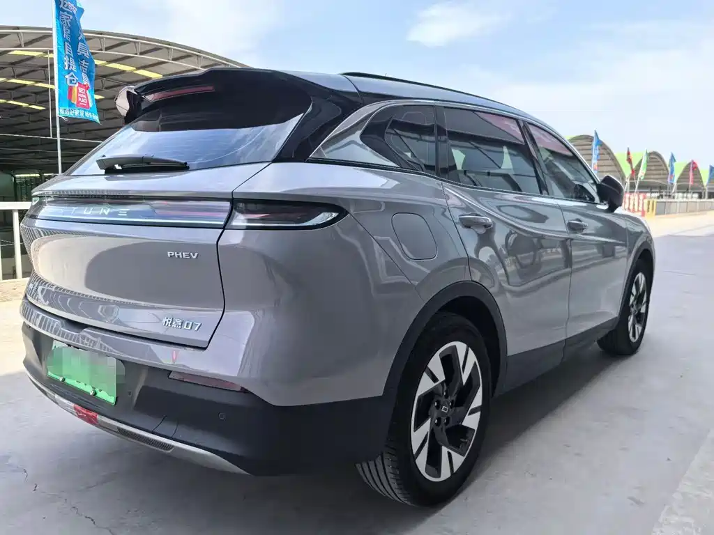 Yueyi 07 210 km Pleasure