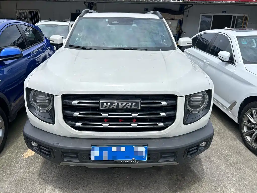 Haval Dargo 2.0 T DCT 4 WD Brilliance Country Dog