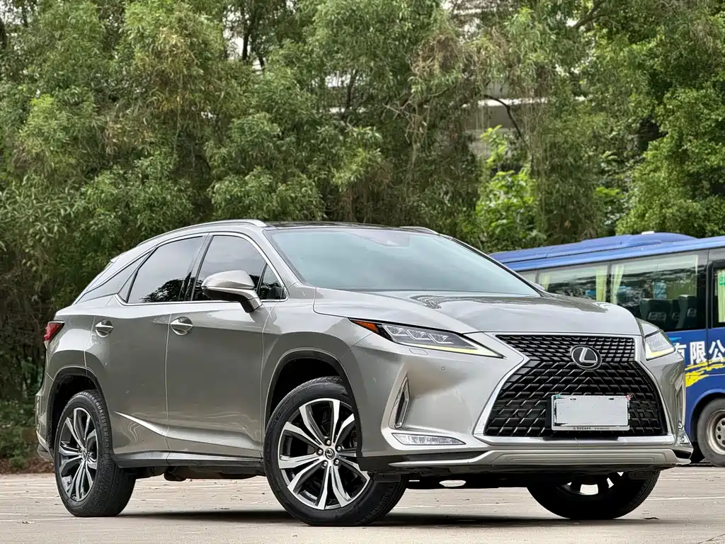 Lexus RX 300 4 WD Elegant CN-VI