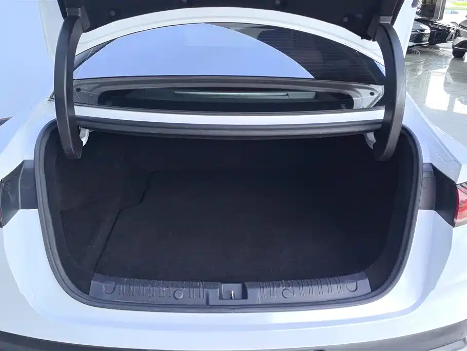 Qin L DM-i 80 KM Transcend