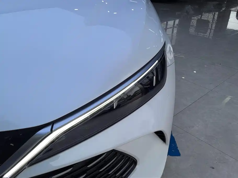 Qin L DM-i 80 KM Transcend