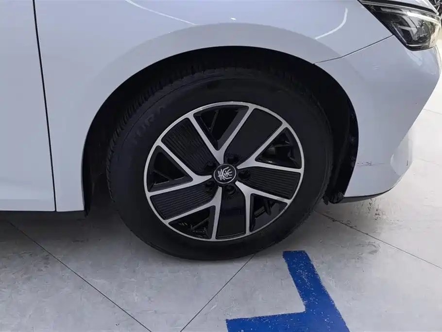 Qin L DM-i 80 KM Transcend