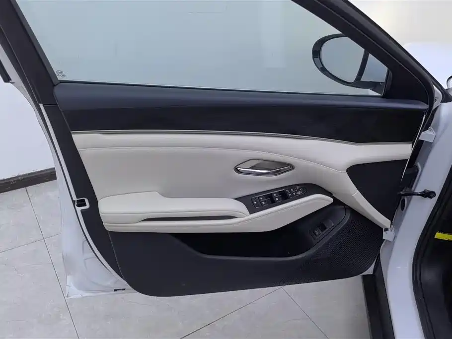 Qin L DM-i 80 KM Transcend