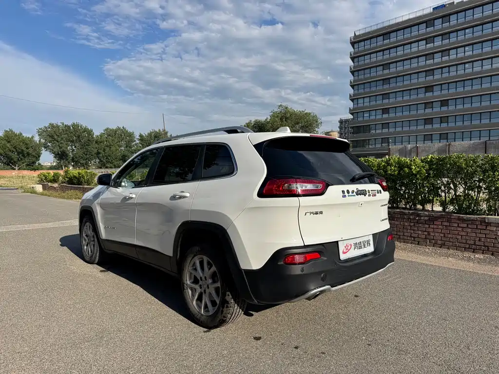 Cherokee 2.0 L Superior