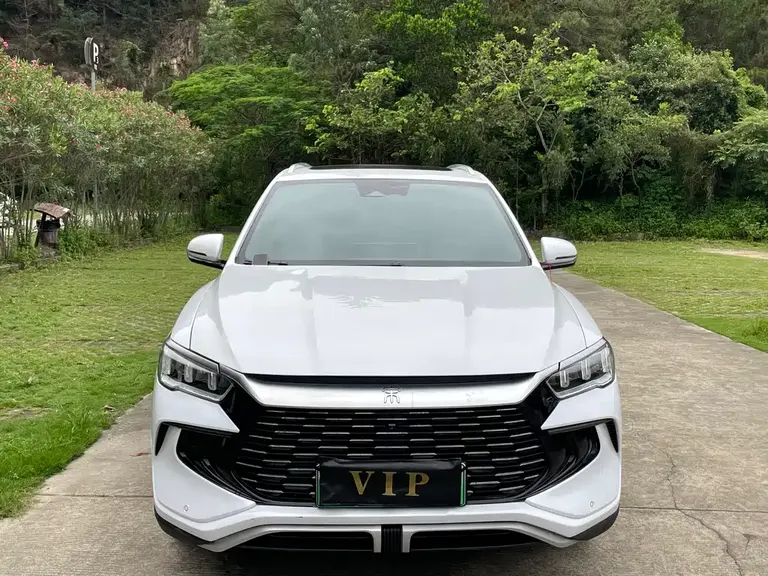 BYD Song Pro NEV Glory DM-i 110 KM Outstanding