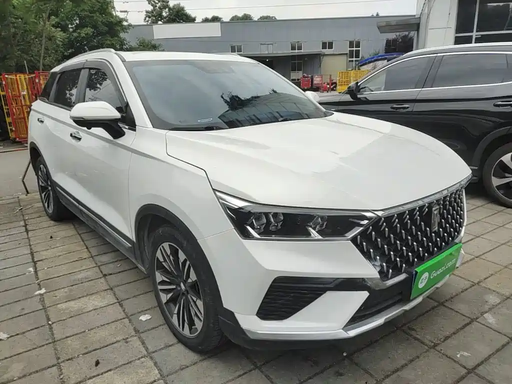 Besturn T77 PRO 280 TID Custom