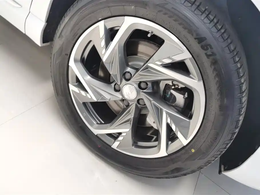 Hongqi HS3 PHEV 115 km Power Action