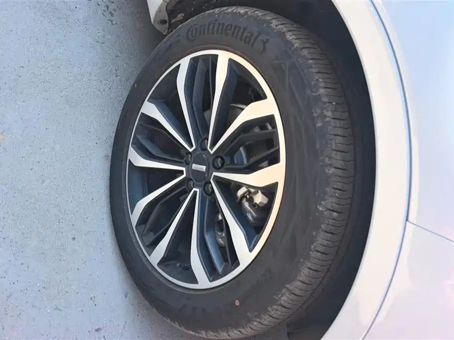 WEY Mocha 2.0 T 2 WD Pure