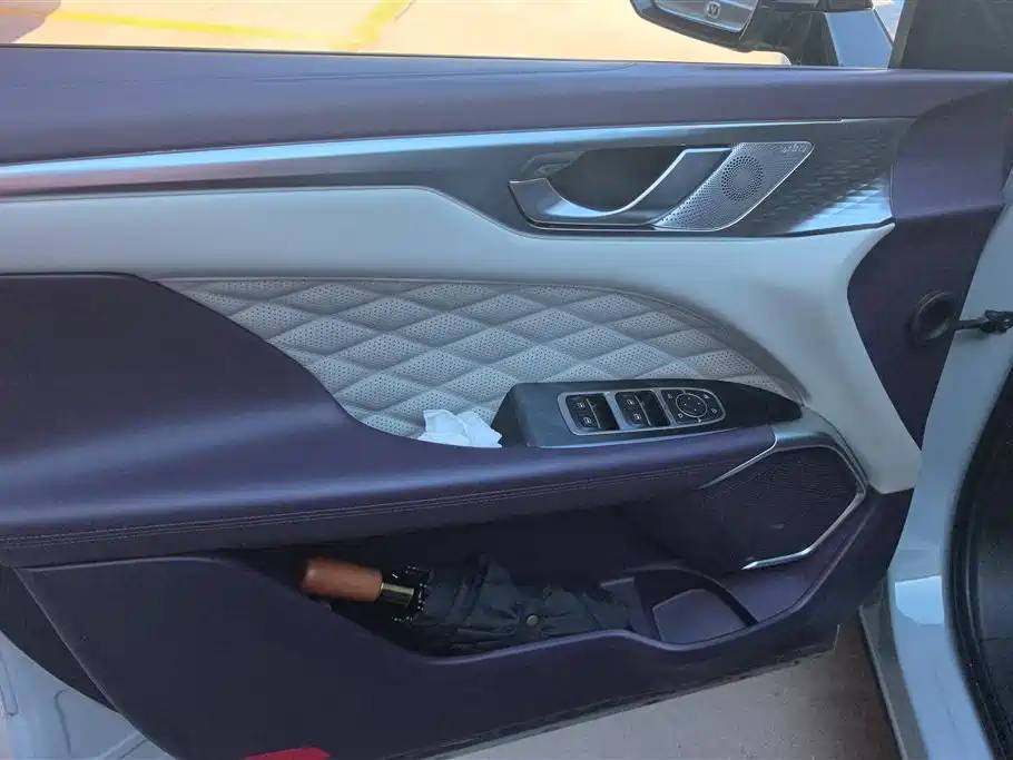 WEY Mocha 2.0 T 2 WD Pure