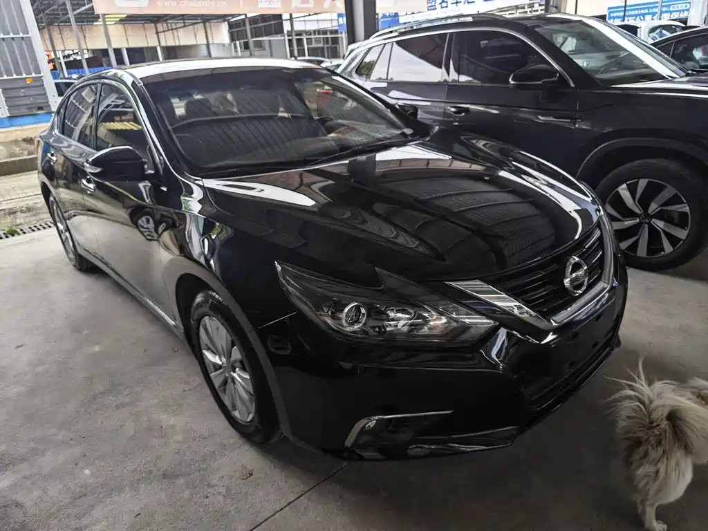 Teana Facelift 2.0 L XL Comfort