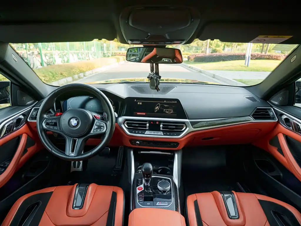 BMW M4 M4 2-door Coupe Thunder