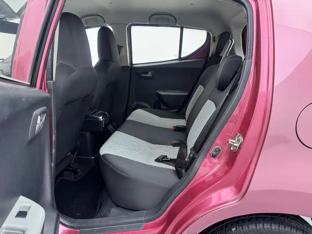 Alto 1.0 L Auto Luxury
