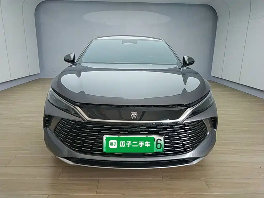 Qin L DM-i 120 KM Transcend
