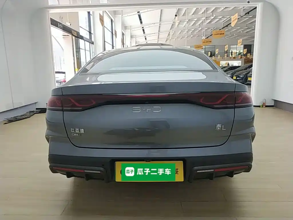 Qin L DM-i 120 KM Transcend