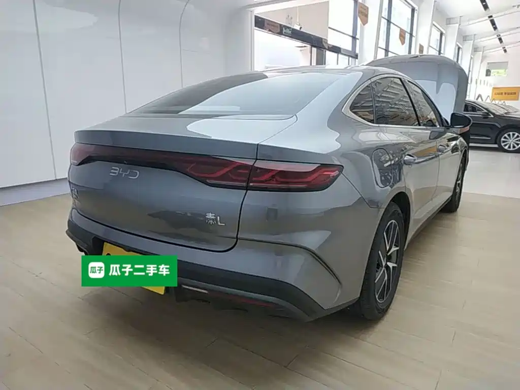Qin L DM-i 120 KM Transcend