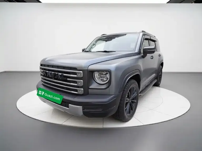 Haval Menglong NEV Hi4 145 Cross
