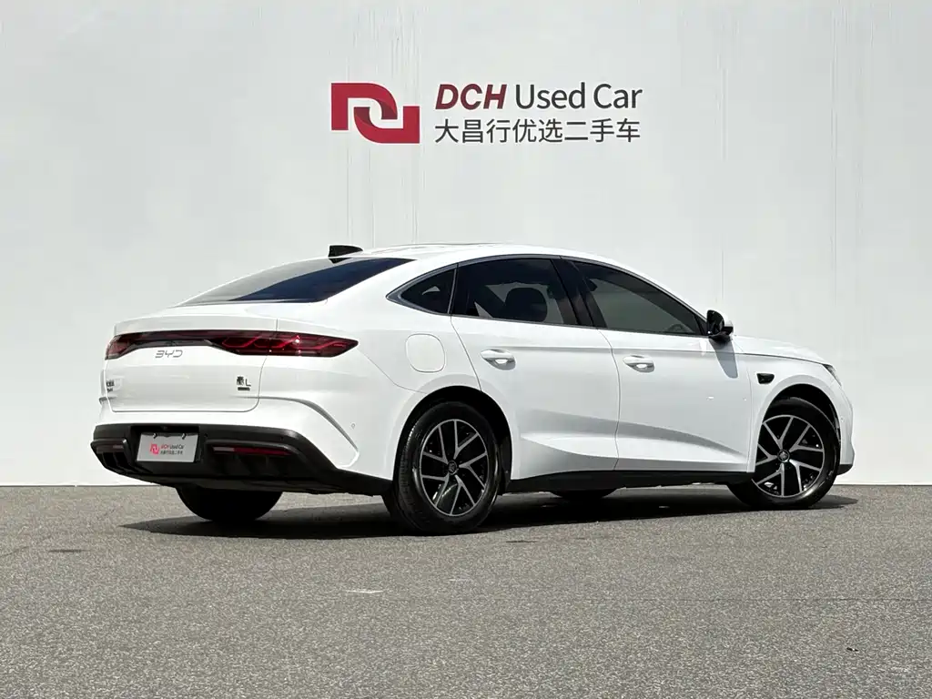 Qin L DM-i Smart Drive 120 KM Leading