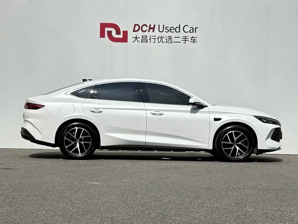 Qin L DM-i Smart Drive 120 KM Leading