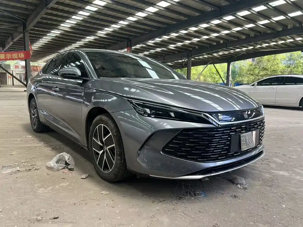 Qin L DM-i 120 KM Transcend