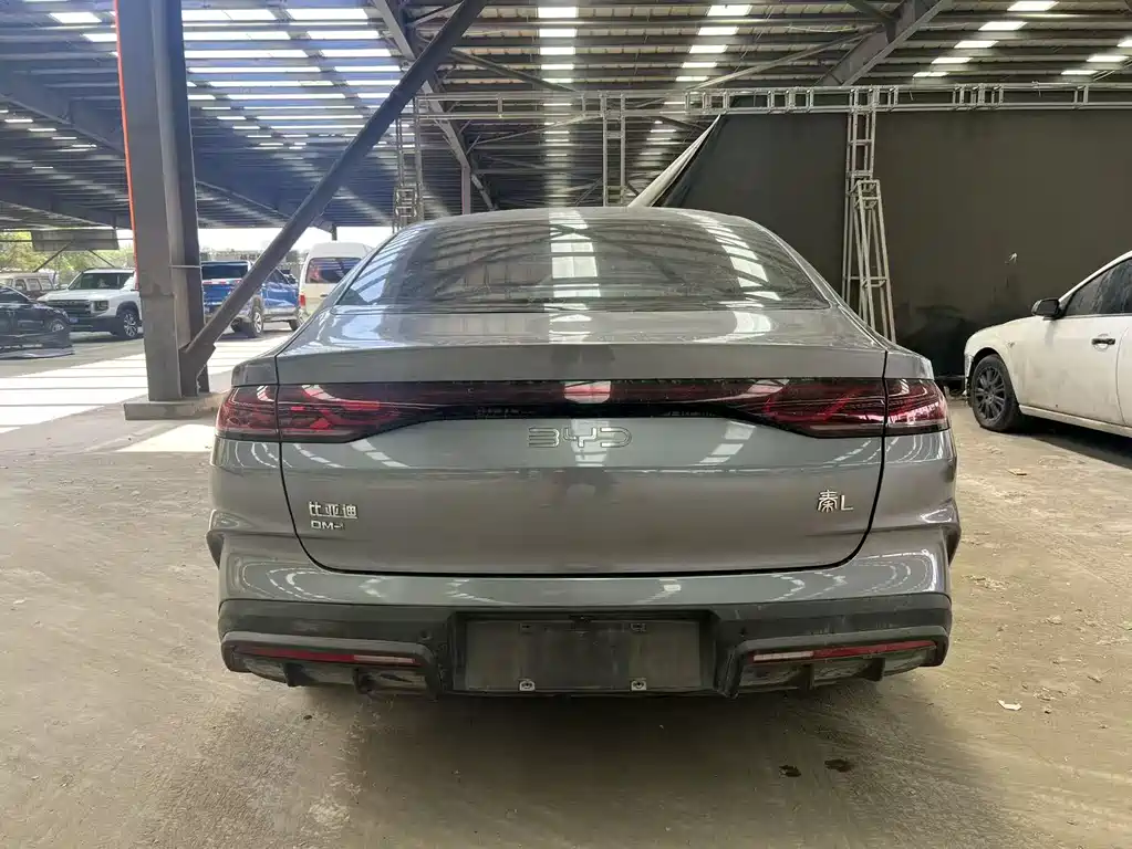 Qin L DM-i 120 KM Transcend