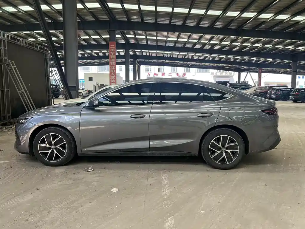 Qin L DM-i 120 KM Transcend