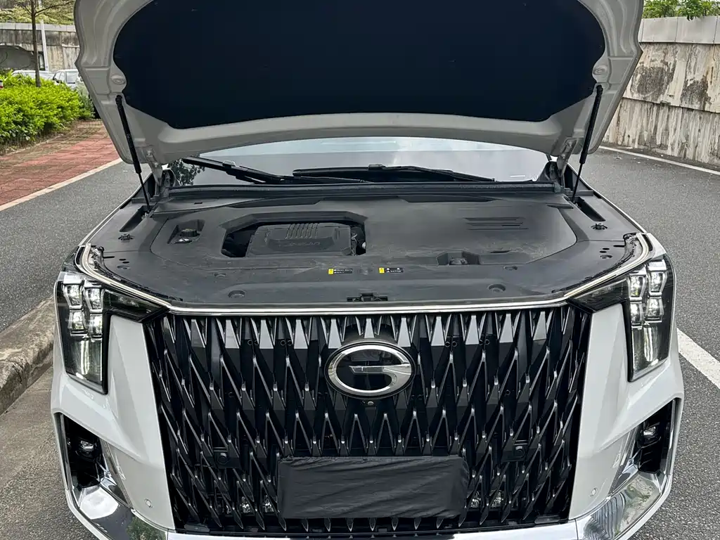 GAC Trumpchi GS8 Dual Engine Series 2.0 TM 4 WD Distinguished (6-seat)