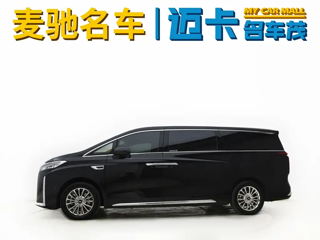WEY High Mountain 4 WD Executive Extended