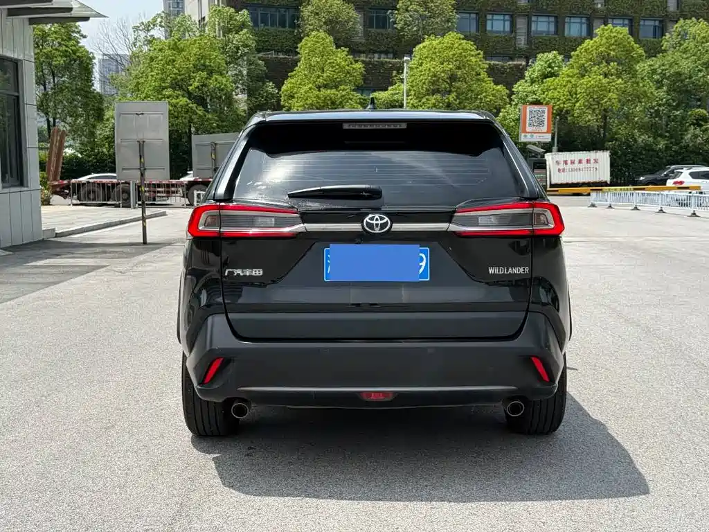 Wildlander 2.0 L CVT 2 WD Leading