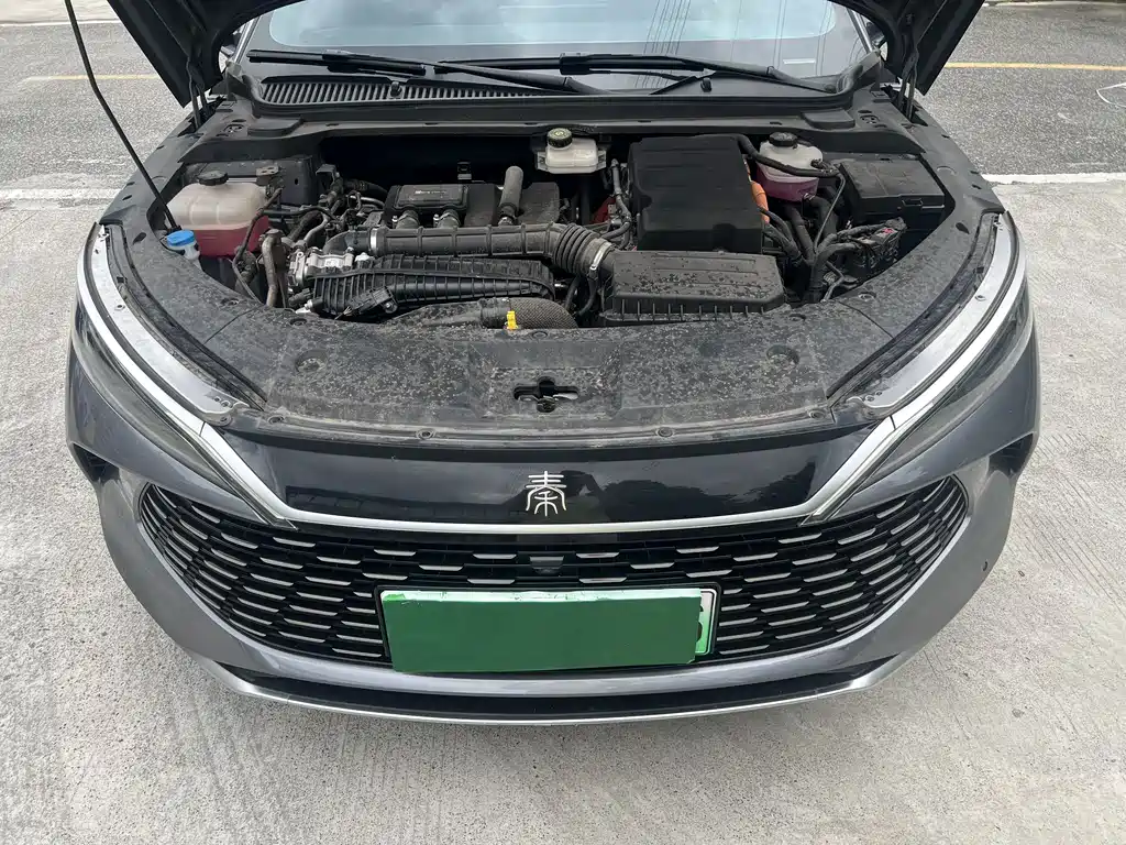 Qin L DM-i 120 KM Transcend