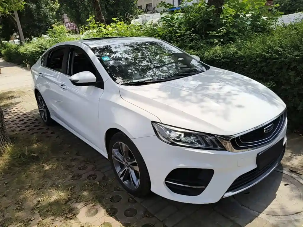 Binrui 200 T DCT Colorful