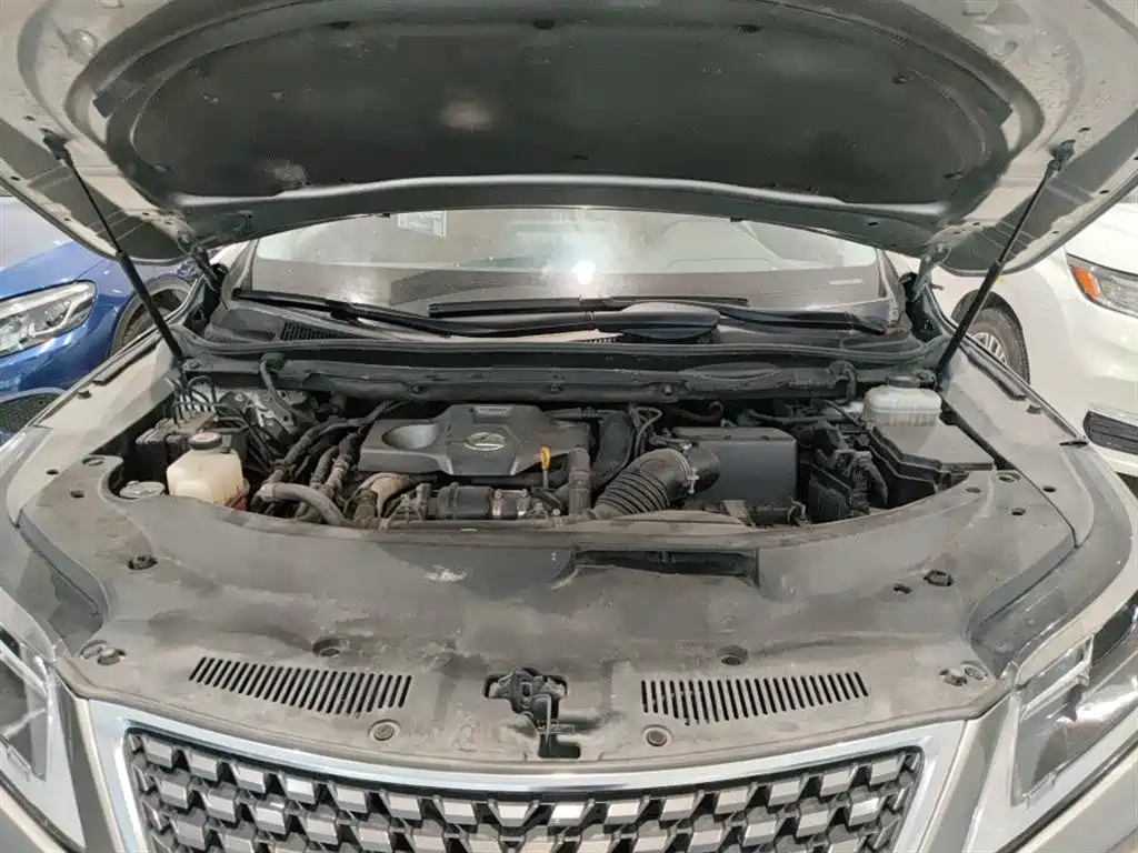 Lexus RX 300 2 WD Elite CN-V