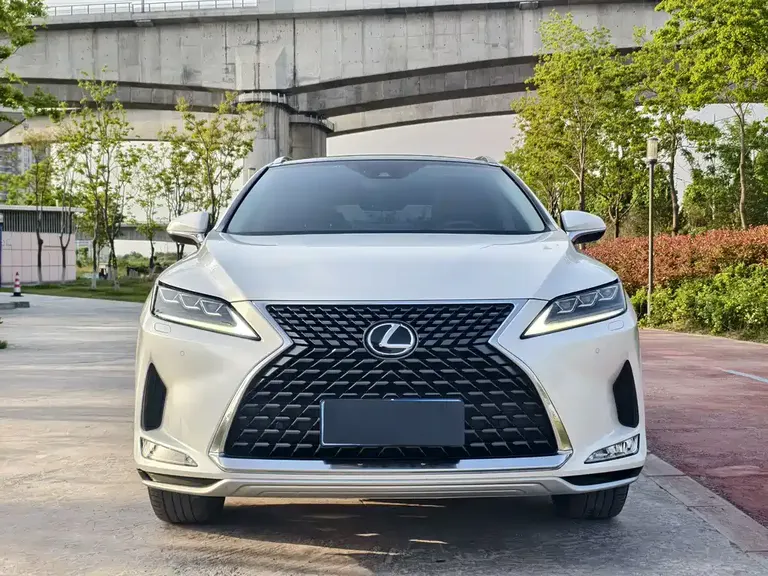 Lexus RX 300 4 WD Elegant CN-VI