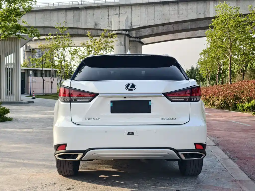 Lexus RX 300 4 WD Elegant CN-VI