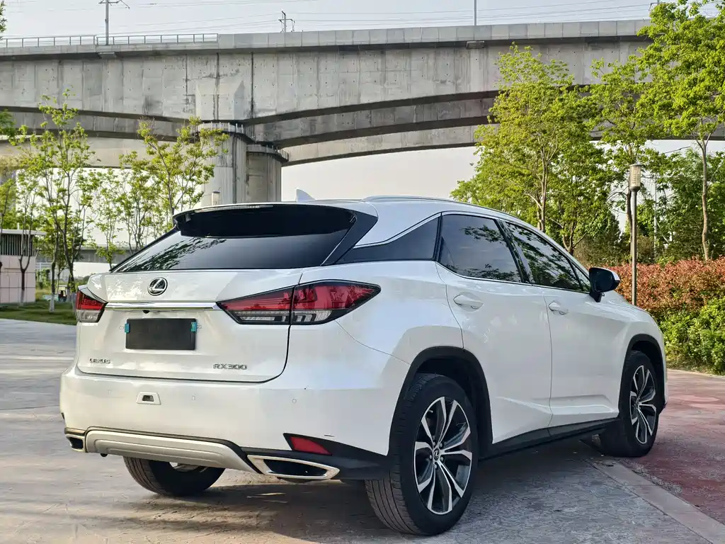 Lexus RX 300 4 WD Elegant CN-VI