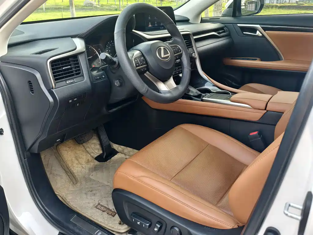Lexus RX 300 4 WD Elegant CN-VI